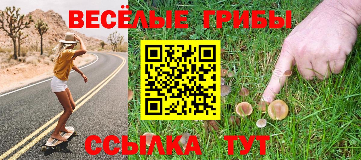 Галлюциногенные грибы Psilocybine cubensis  Вход с VPN  где найти наркотики  Псилоцибиновые грибы ЛСД  Северск 