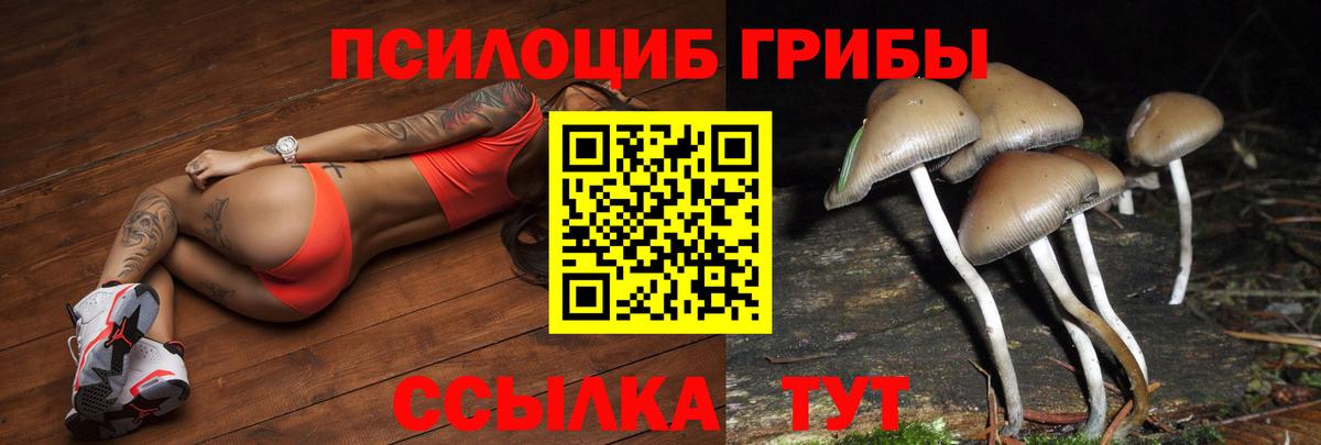 Псилоцибиновые грибы MAGIC MUSHROOMS Северск